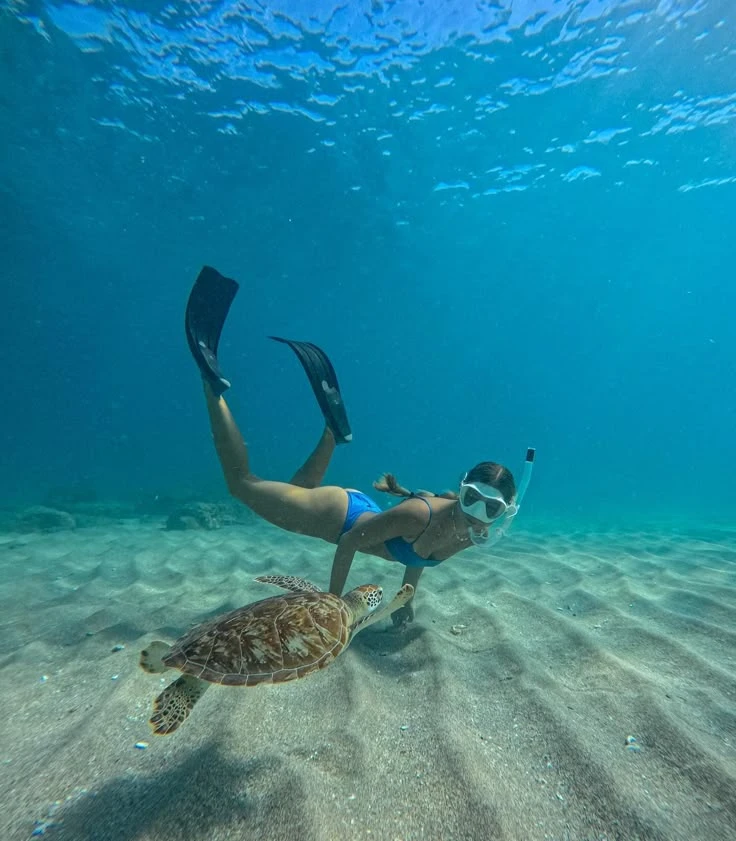 snorkelling